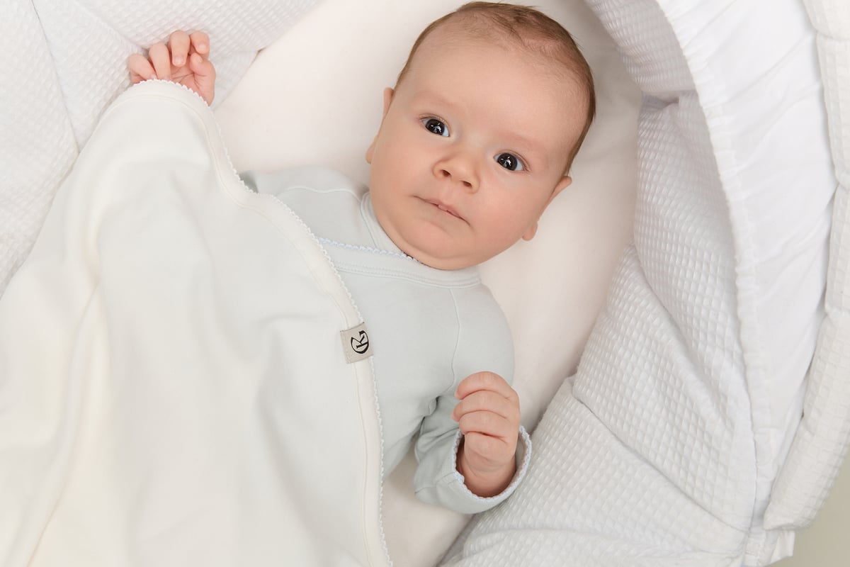 Gullkorn Vakke Body Blå Dis